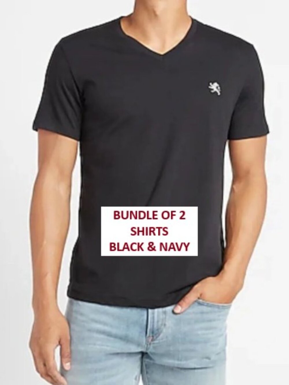 Express Men's V-Neck T-Shirts - Pair Navy / Black